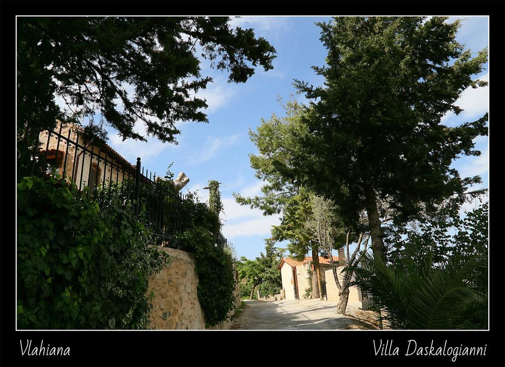 Villa Daskalogianni Vlakhiana Luaran gambar